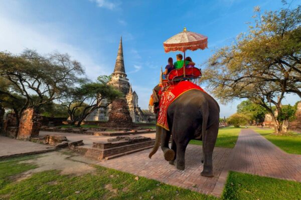 таиланд для туристов _foreign tourists elephant ayutthaya
