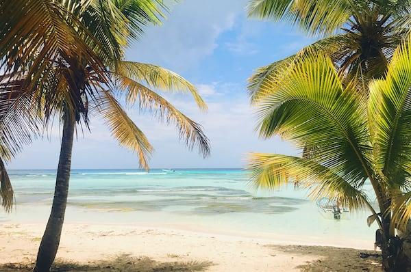 въезд без ограничений _tall palms raise cloudy sky beach dominican republic