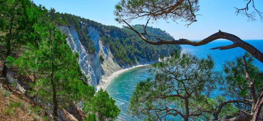 Абхазия в мае _hillside-leading-sea-from-pitsunda-pine-trees