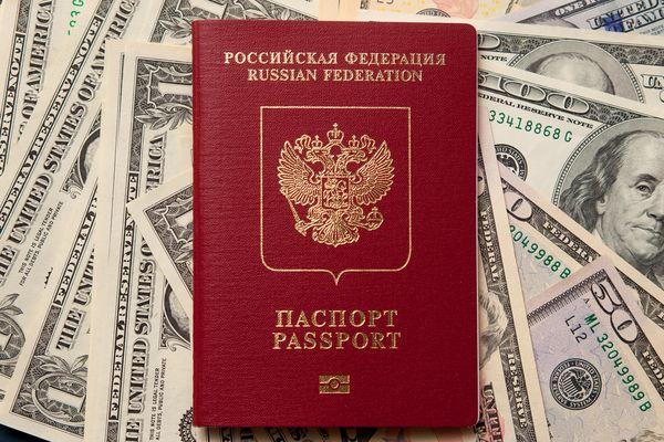 Правила въезда в Египет для россиян в 2021_russian passport dollars