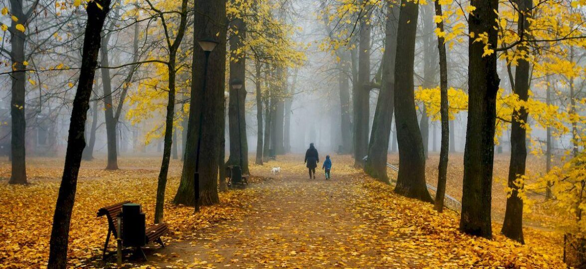 mozhno li v Estoniyu estonia misty park