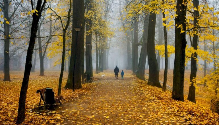 mozhno li v Estoniyu estonia misty park