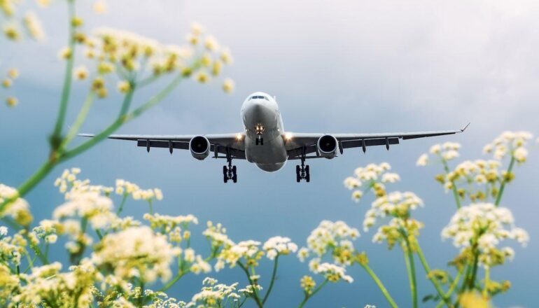 dengi za bilety na otmenennye reysy landing airport view with flowers