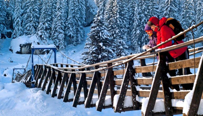 Keshbek za puteshestviya po Rossii Mir backpacks stand suspension bridge