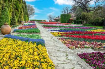 Vezd v Bolgariyu s 1 fevralya 2022 botanical garden balchik bulgaria trip fare area