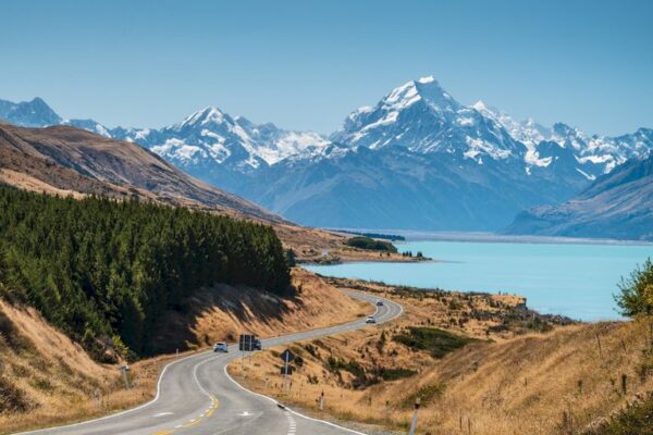 въезд в Новую Зеландию в 2022 году _Trip Fare Area