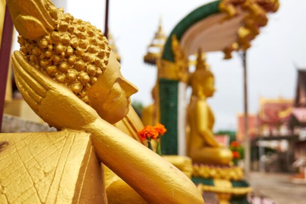 Въезд в Лаос с 09 мая 2022 года _id zfqfi
